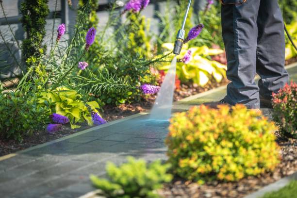 Best Pre-Holiday Cleaning  in Patchogue, NY